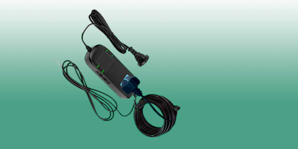 Ogrzewanie Palm w czasie Zimy