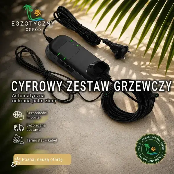 Cyfrowy Zestaw Grzewczy - Termostat + Kabel Grzewczy do Ogrzewania Palm i Juk Zimą