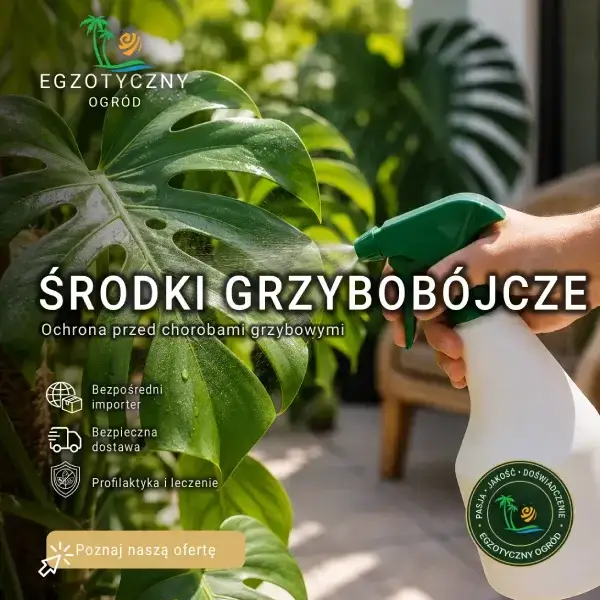 Środki Grzybobójcze - Fungicydy do Roślin Egzotycznych, Cytrusów, Drzewek Owocowych