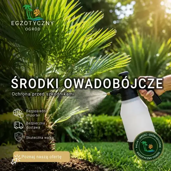 Środki Owadobójcze - Preparaty na Szkodniki Roślin Egzotycznych (Tarczniki, Wełnowce, Przędziorki)