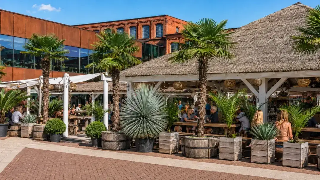 Palmy Trachycarpus fortunei i Yucca rostrata przy Beach Bar w Manufakturze w Łodzi – realizacja Egzotycznego Ogrodu