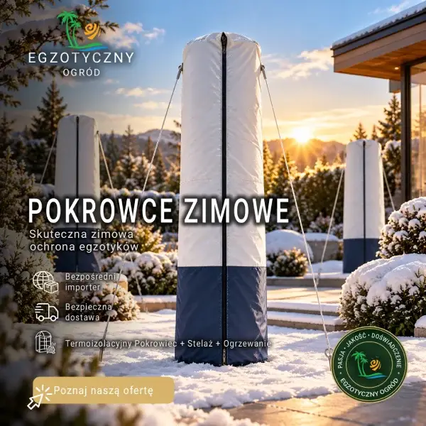 Pokrowce zimowe na palmy, juki, drzewa oliwne i rośliny egzotyczne &ndash; ThermoStark Polar 600
